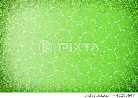 Grass background 41296647