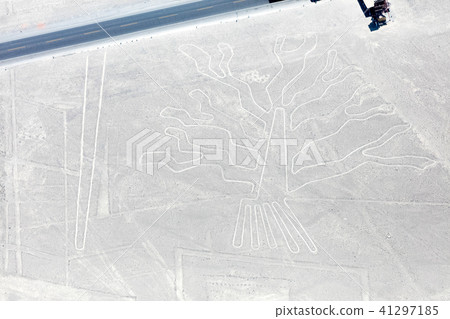 Nazca lines from the aircraft 41297185