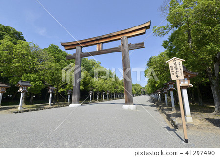 Kashihara Jingu Shrine Torii Torii Kashihara Jingu Shrine Torii Torii 41297490