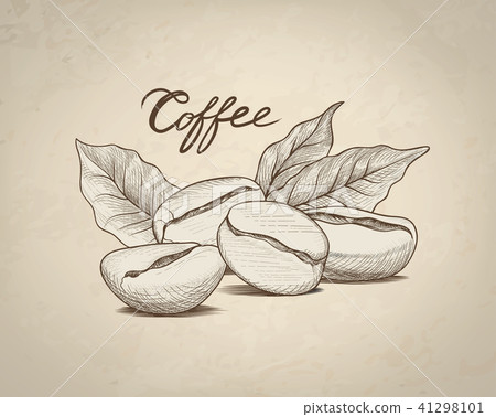 Coffee bean, leaves, lettering Drink coffee banner Coffee bean, leaves, lettering Drink coffee banner 41298101