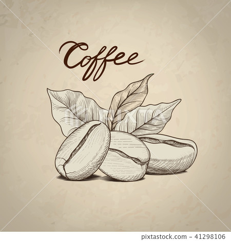 Coffee beans leaves, lettering Drink coffee banner 41298106
