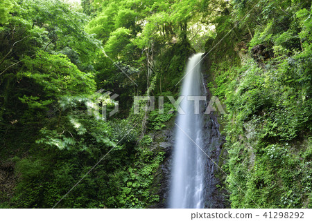 Yoro no Taki（岐阜縣養老郡） 41298292