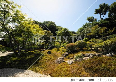 鎌倉市長崎寺鎌倉市Tyoujyuji寺 鎌倉市長崎寺鎌倉市Tyoujyuji寺 41299449