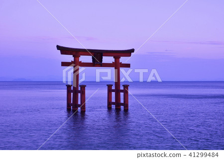 Shirahigi Shrine Lake Middle Torii Townscape (Takashima-shi, Shiga) 41299484