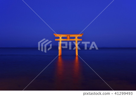Torii Torii夜景的Shirahigi Shrine湖點亮（滋賀縣高島市） 41299493