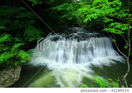新鮮的綠色Katsura-mura流一個瀑布 41299514