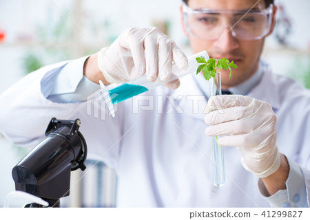 Male biochemist working in the lab on plants Male biochemist working in the lab on plants 41299827