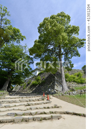 Hikonejo Honmaru 41301204