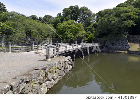 彥根城堡Majoromonoko 彥根城堡Majoromonoko 41301887