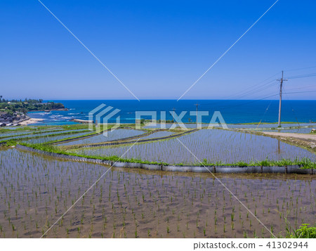 One of the 100 rice terraced paddy fields in the Tango Peninsula, the rice terrace of Sodegi 41302944