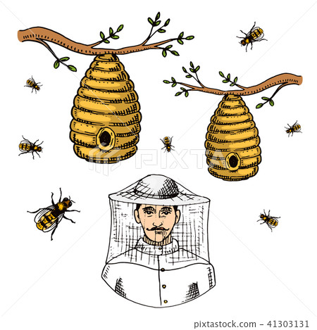 Apiary farm vector hand drawn vintage honey making farmer beekeeper illustration nature product by 41303131