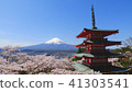 櫻花和富士山和貞潔塔 41303541
