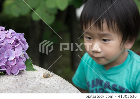 Faced with a boy snail Faced with a boy snail 41303636