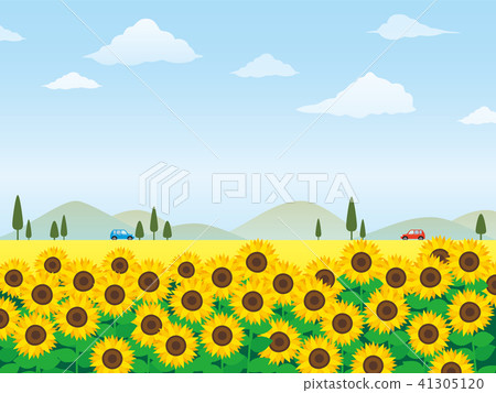 Summer sunflower field landscape - Stock Illustration [41305120] - PIXTA