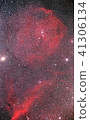 獵戶座天使魚星雲 41306134