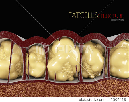 3d Illustration of Fat Cells on black background 41306418