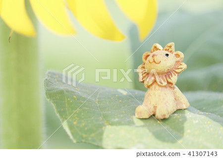 Lion resting on the sunflower leaves 41307143