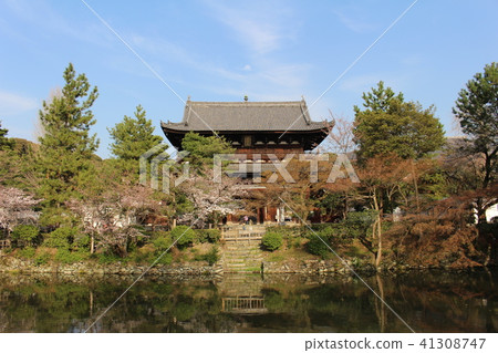 Buddhist temple 41308747