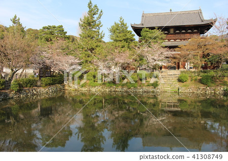 Buddhist temple Buddhist temple 41308749