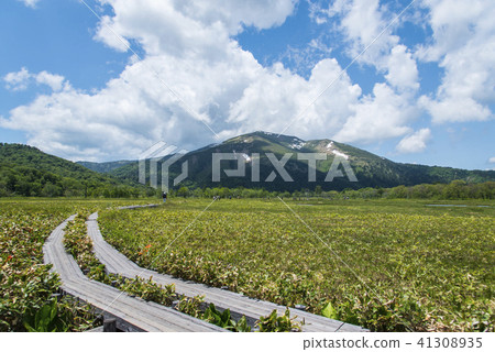 Sobetsu和Ozegahara山 41308935