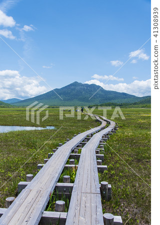 Ozegahara和Mt. Ozegahara和Mt. 41308939