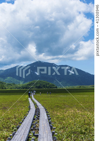 Ozegahara和佛山 Ozegahara和佛山 41308946