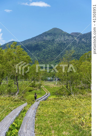 Ozegahara and Mt. 41308951