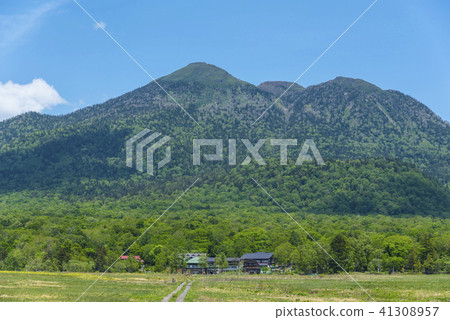 Ozegahara和Mt. 41308957