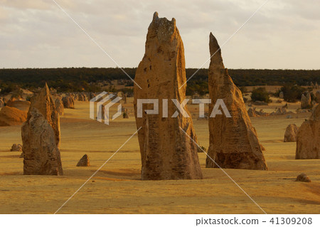 Pinnacles Pinnacles 41309208
