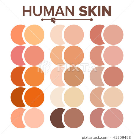 Skin Human Vector. Various Body Tones Chart. Realistic Texture Palette. Illustration 41309498