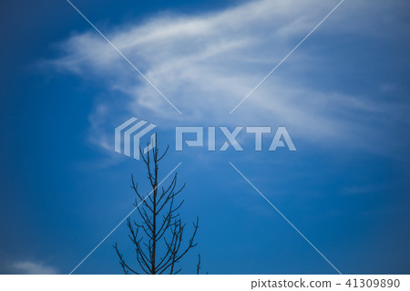 Blue sky before sunset. 41309890