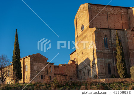 Basilica of San Domenico - Siena Italy Basilica of San Domenico - Siena Italy 41309928