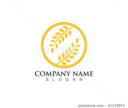 Agriculture wheat Logo Template vector icon design 41310955