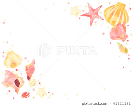 Shellframe 41311181