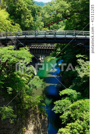 View of Saruhashi from Shin Sarubashi View of Saruhashi from Shin Sarubashi 41311285