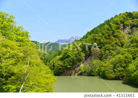 Okumo Flower Dam Lake Okumo Flower Dam Lake 41311601