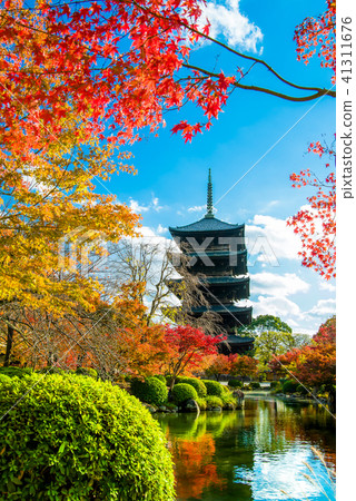 京都秋葉的栃木五層塔 41311676