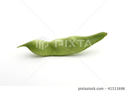 摩洛哥豆豆 41311696