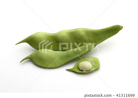 Morocco beans beans Morocco beans beans 41311699