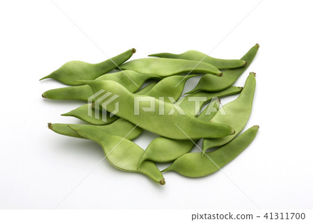 摩洛哥豆豆 摩洛哥豆豆 41311700