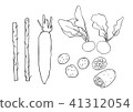 Root vegetable drawing 41312054