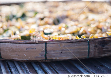 Yellow silk worm from Thailand. 41312608