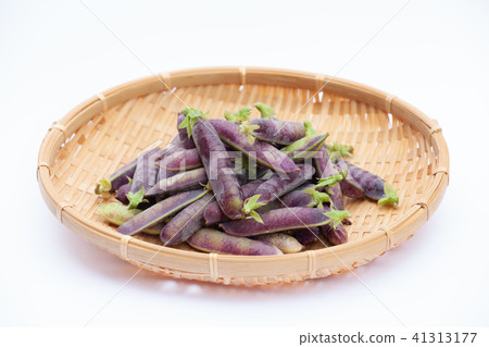 圖坦卡蒙豌豆 圖坦卡蒙豌豆 41313177