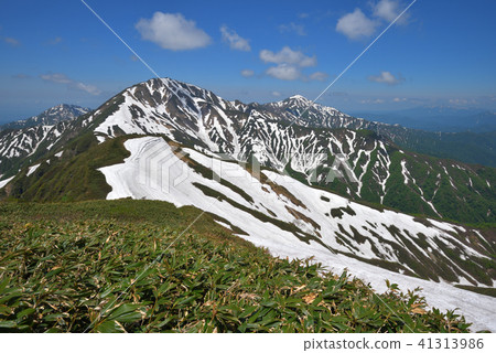 Echigo Misan of the remaining snow seen from Mt. Echigo Misan of the remaining snow seen from Mt. 41313986