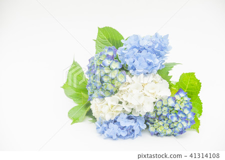 繡球花束 41314108