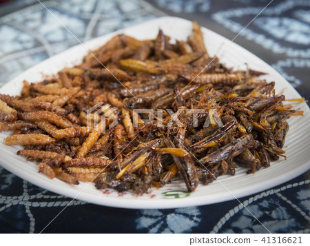 Chinese Yunnan Province insect food Chinese Yunnan Province insect food 41316621