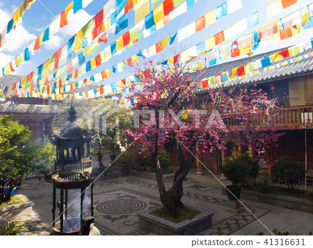 中國雲南三獸 41316631