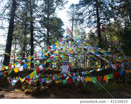 中國雲南三獸 中國雲南三獸 41316635