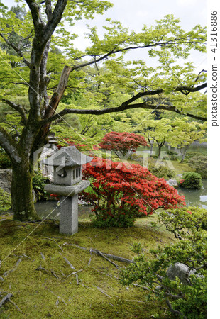 南開Sengong皇宮 41316886