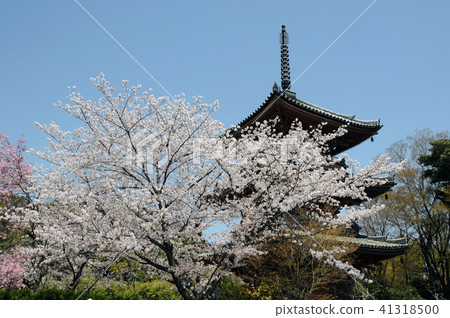 寶塔吉三塔 41318500